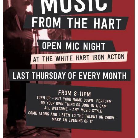 Open mic night