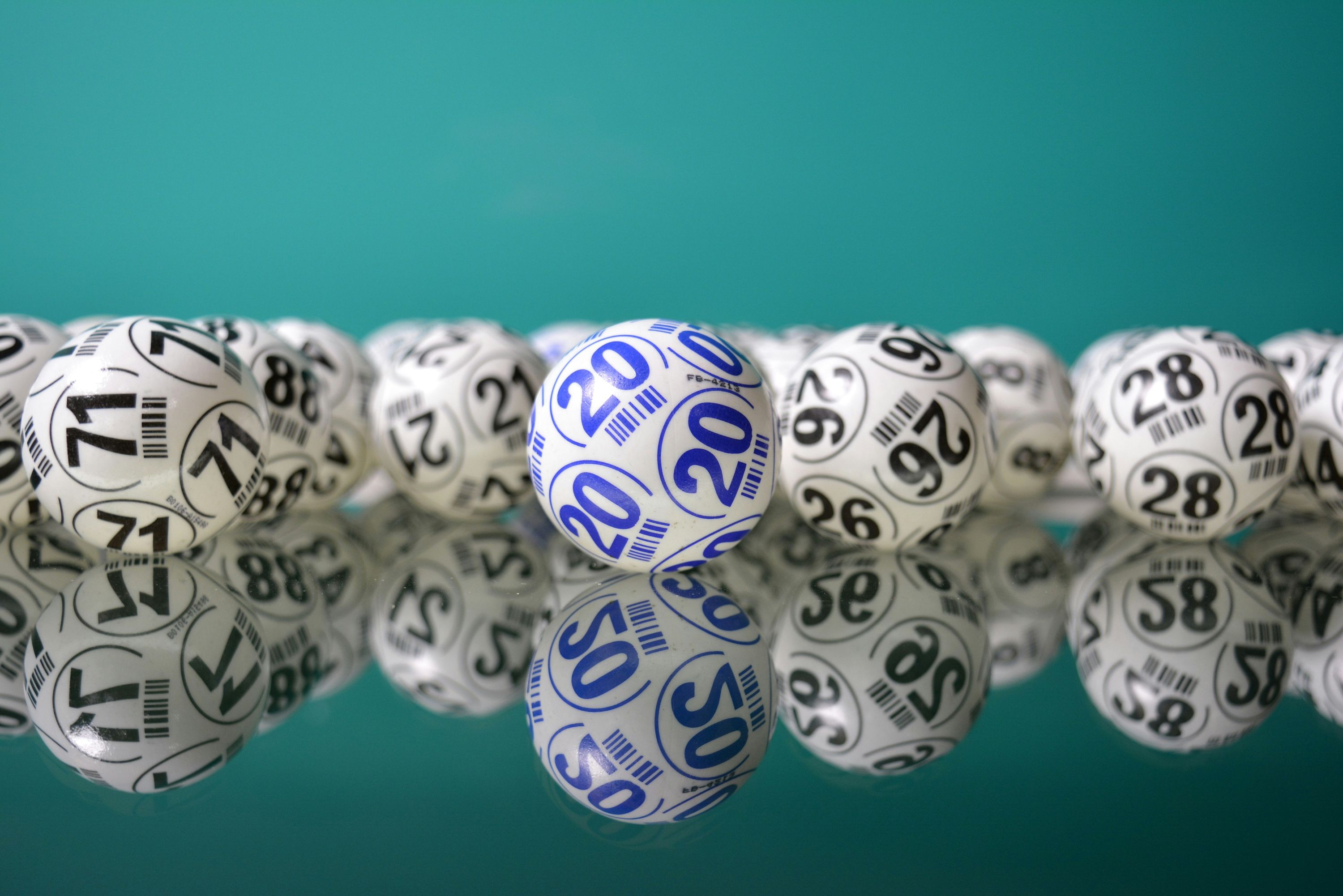 Cash Bingo
