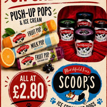 Enjoy a refreshing ice cream or push pop