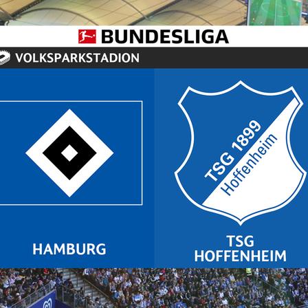 Hamburg vs Hoffenheim