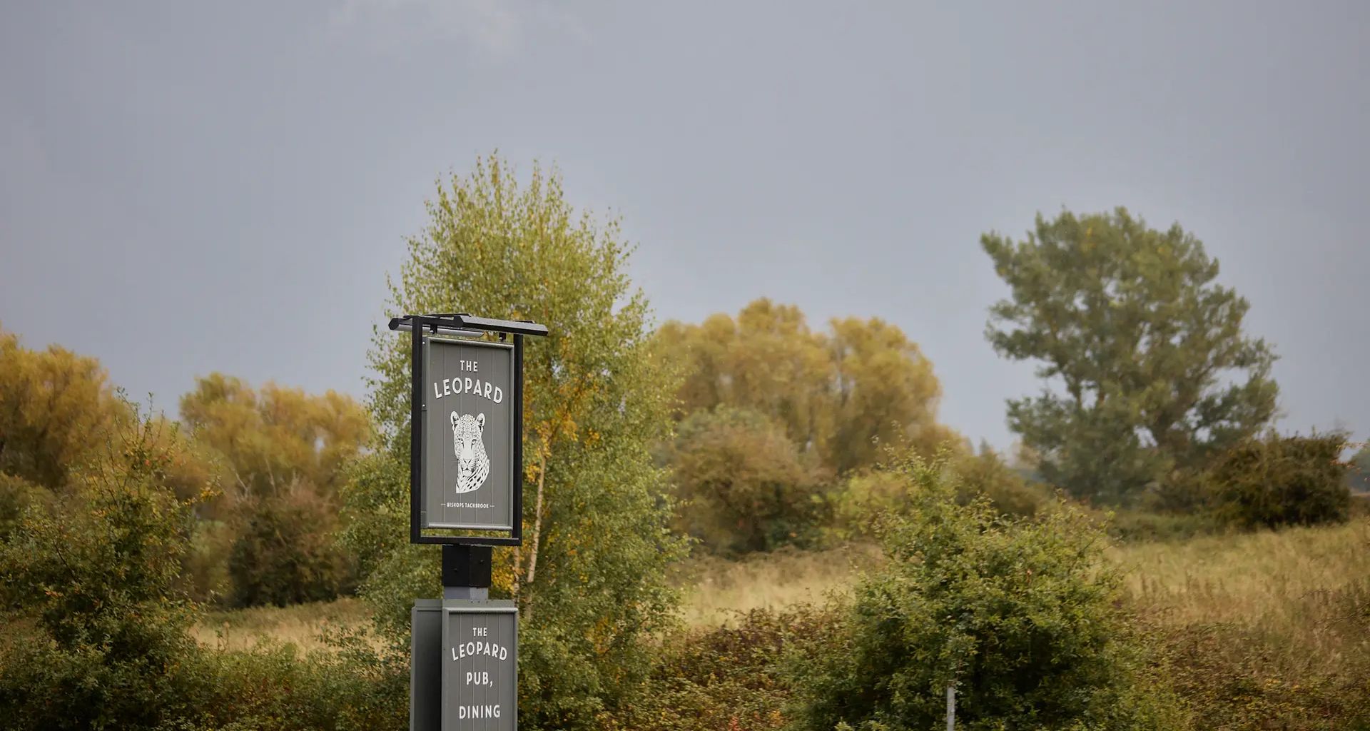 The Leopard - Bishop's Tachbrook