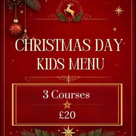 Christmas Day Kids