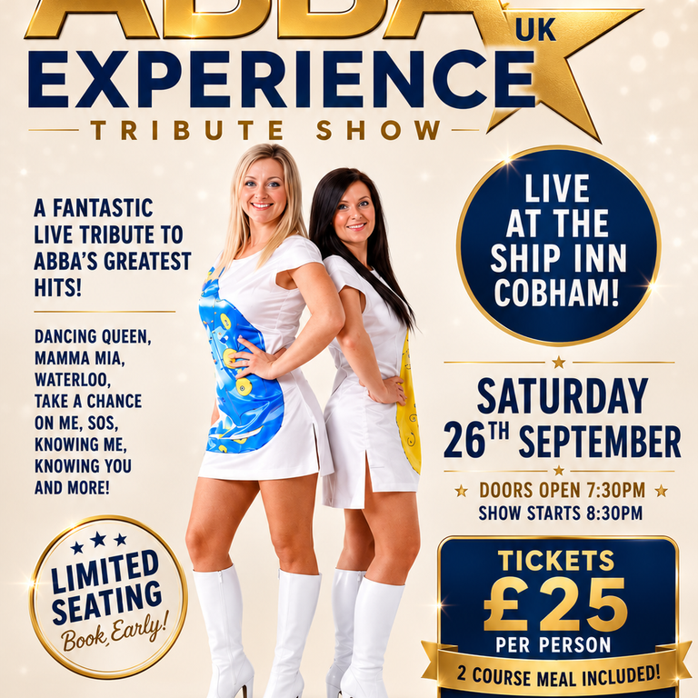 ABBA Experience Tribute Show