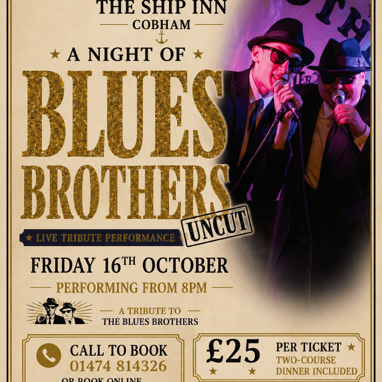 A Night of Blues Brothers!