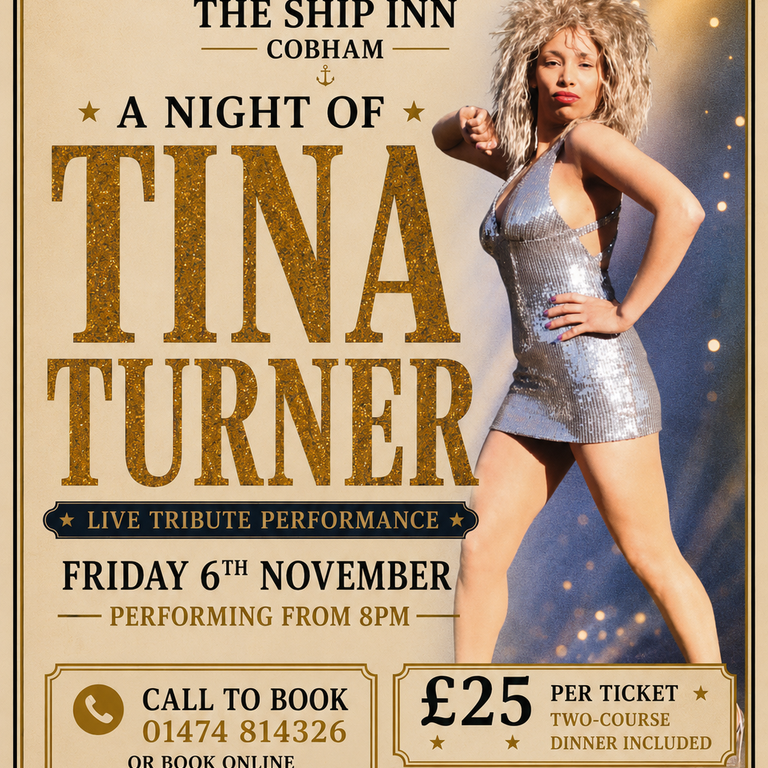 A Night of Tina Turner!