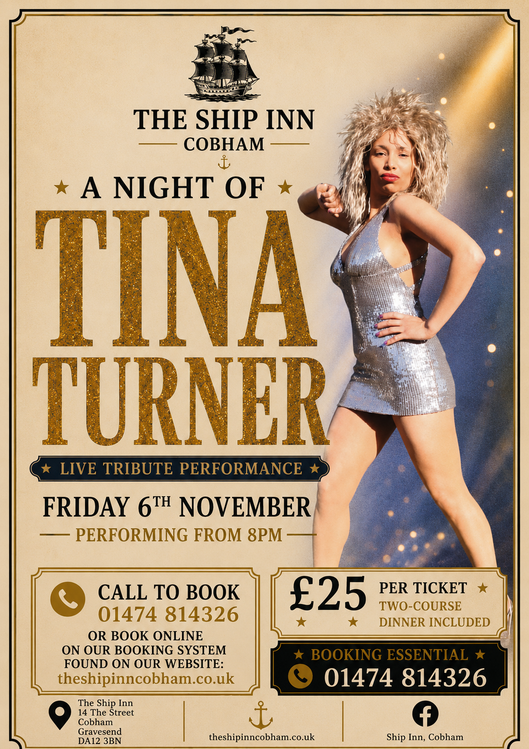 A Night of Tina Turner!