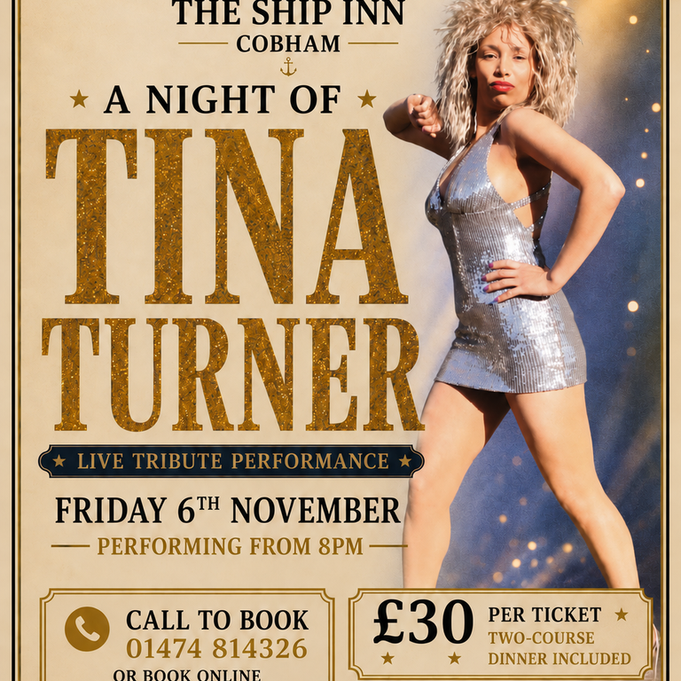 A Night of Tina Turner!