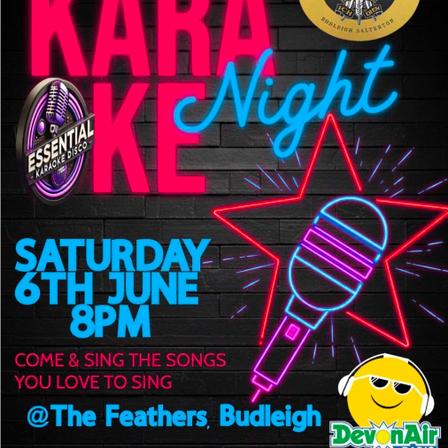 Karaoke Night