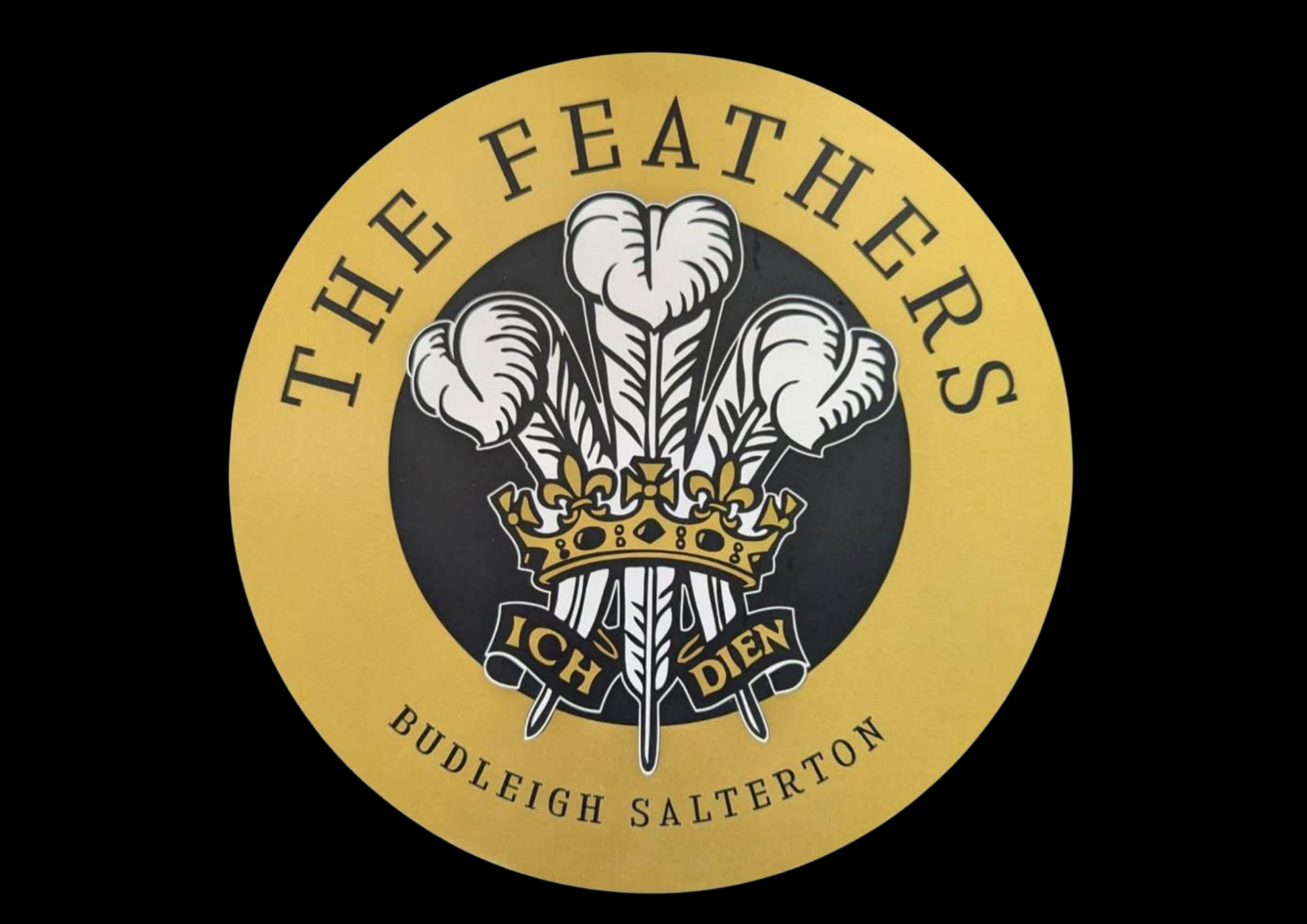 The Feathers logo