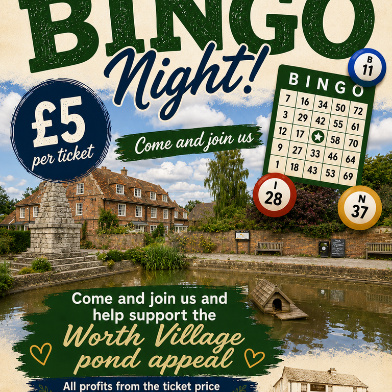 Charity Bingo Night